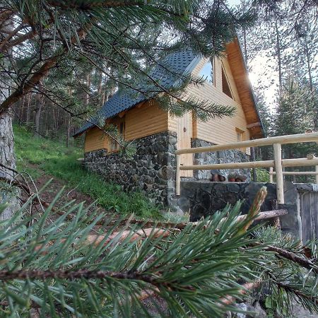 Garac Zlatibor Vikendica Villa Ngoại thất bức ảnh