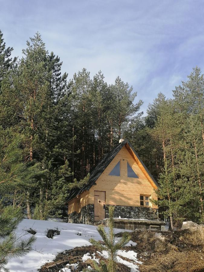 Garac Zlatibor Vikendica Villa Ngoại thất bức ảnh