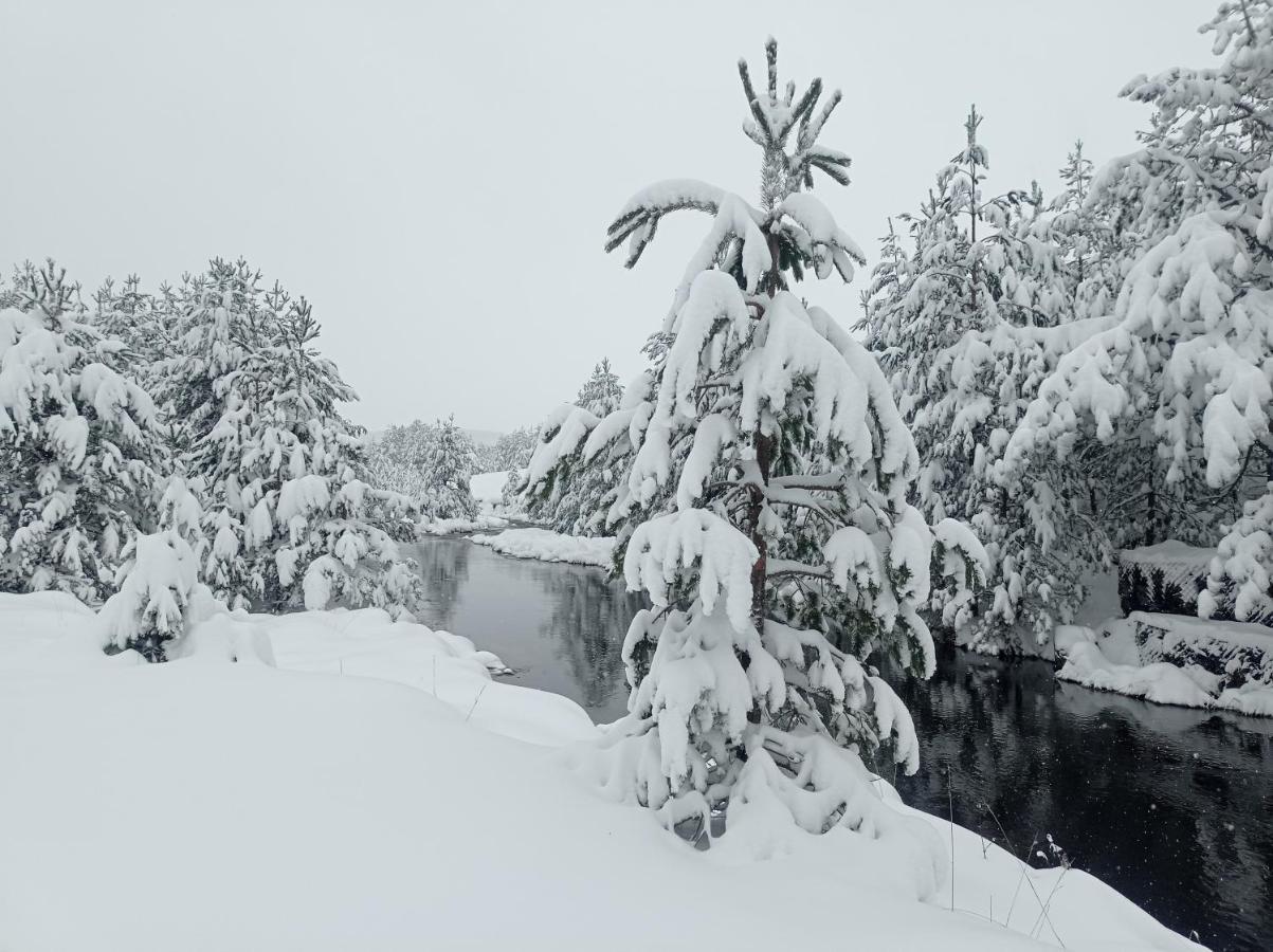 Garac Zlatibor Vikendica Villa Ngoại thất bức ảnh